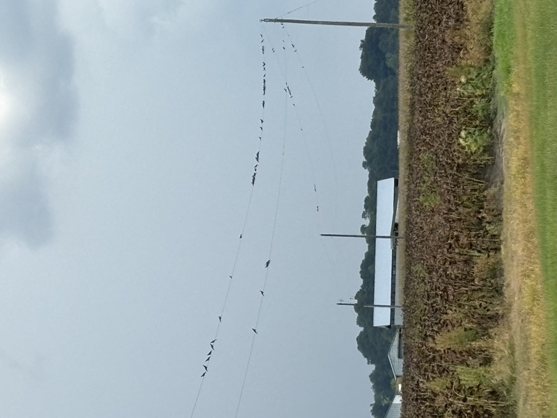 Allen Brothers Outdoors