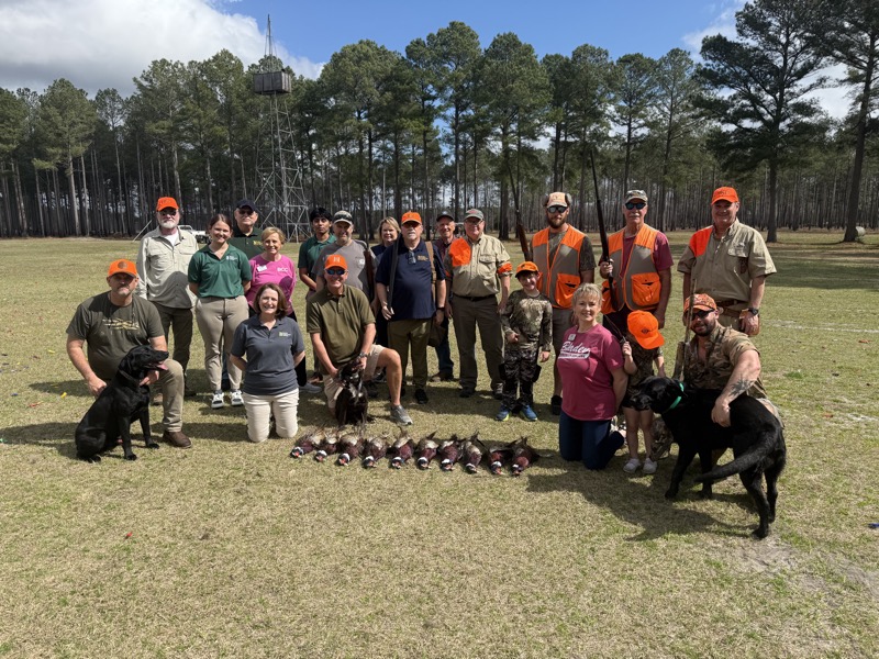 Pheasant tower shoot