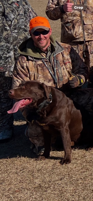 Quail &amp; pheasant hunting