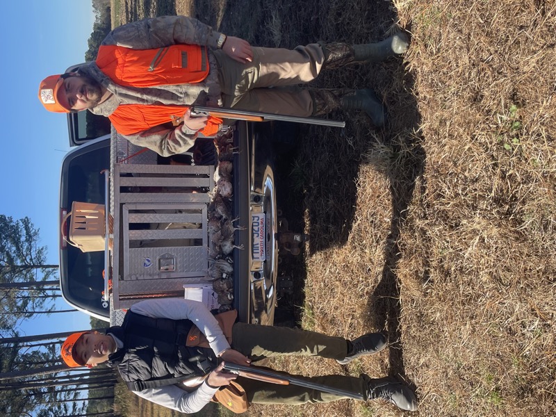 Quail &amp; pheasant hunting