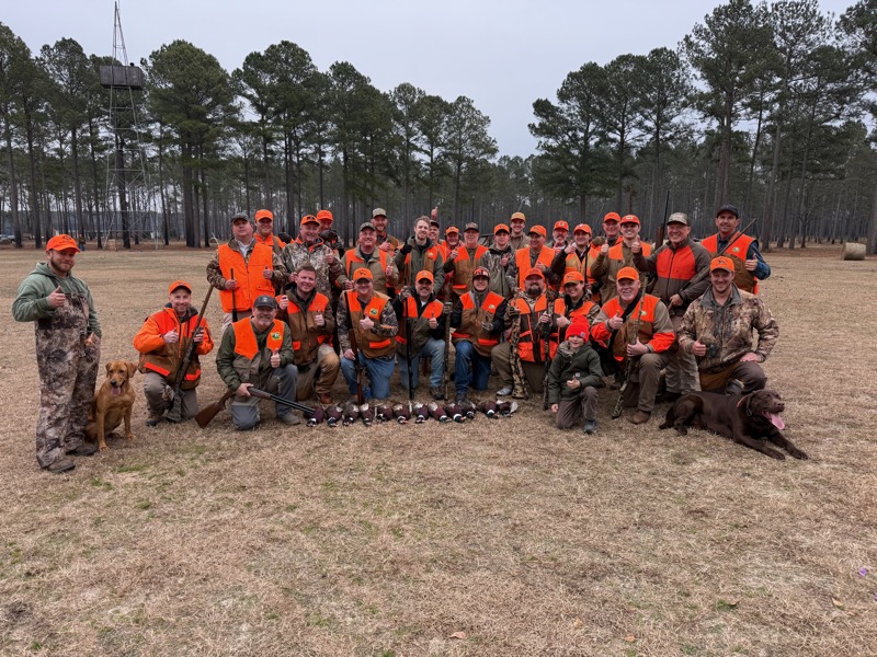 Quail &amp; pheasant hunting
