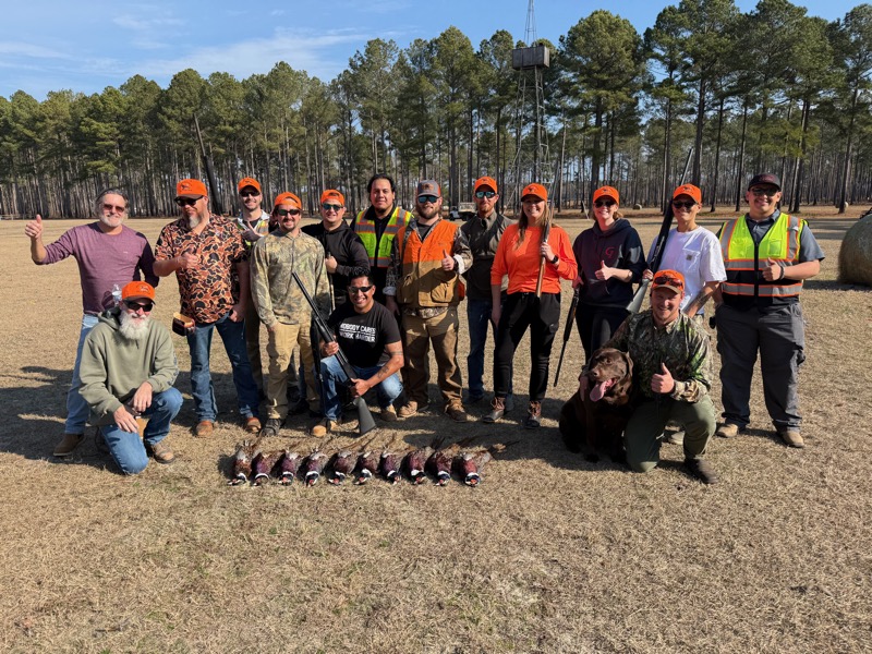 Quail &amp; pheasant hunting