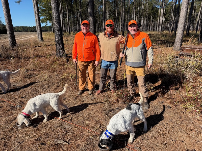 Quail &amp; pheasant hunting