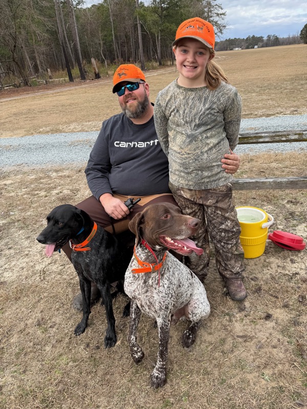 Quail &amp; pheasant hunting