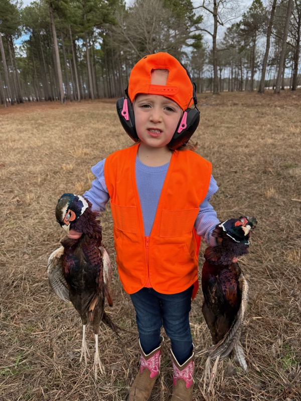 Quail &amp; pheasant hunting