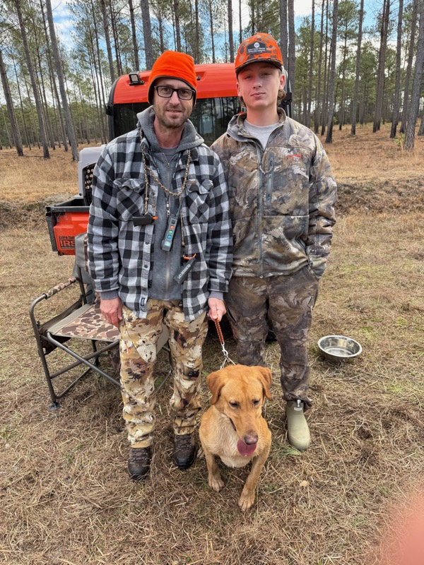 Quail &amp; pheasant hunting