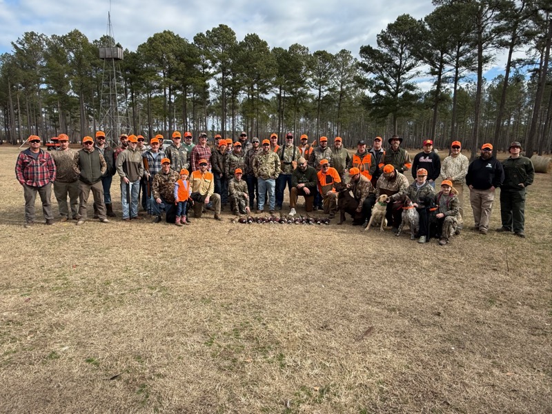 Quail &amp; pheasant hunting